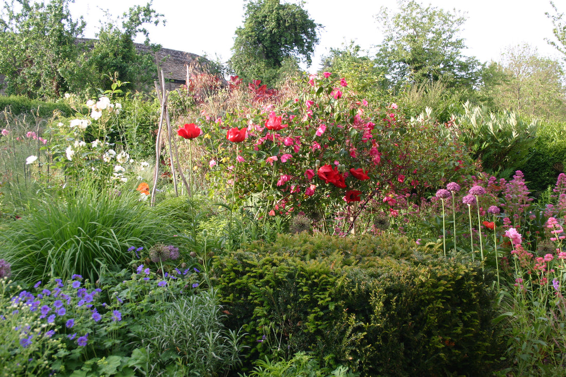 Der Cottage Garten