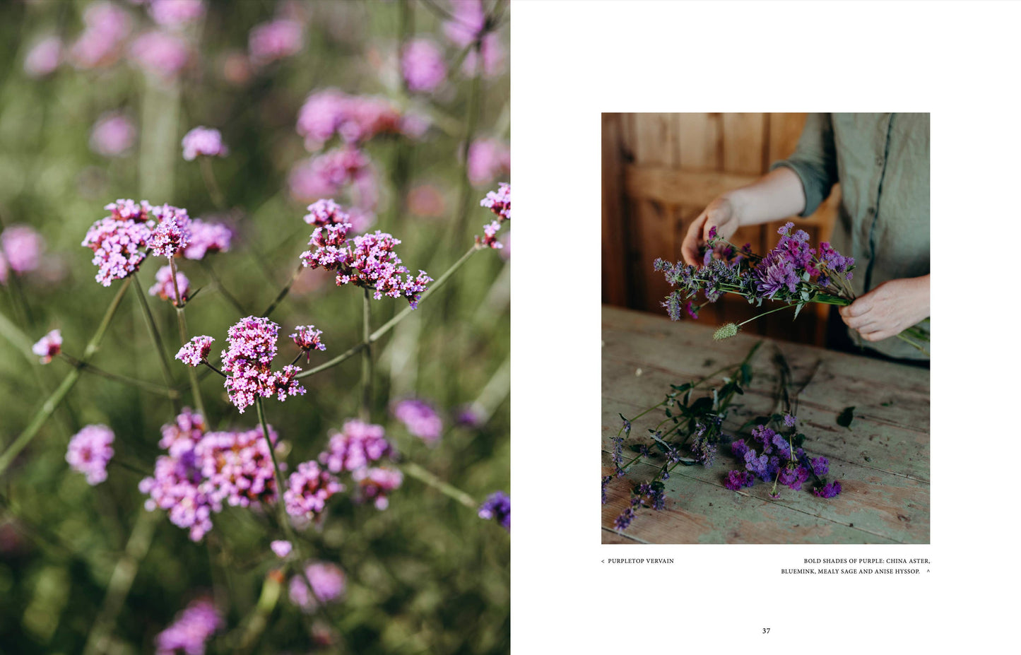 Links blühen Büschel kleiner violetter Blumen; rechts arrangiert ein Blumenliebhaber heimische Stängel im Haus, inspiriert von „Where the flowers bloom“ von Cozy Publishing.