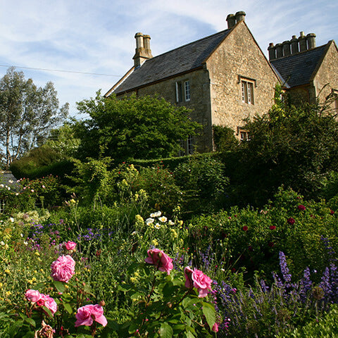 Genießen Sie unter blauem Himmel Isabelle Van Groeningens Halbtageskurs "Der Cottage Garten: Der Garten der Zukunft" am 07.11.2025, umgeben von üppigem Grün und rosa Rosen.