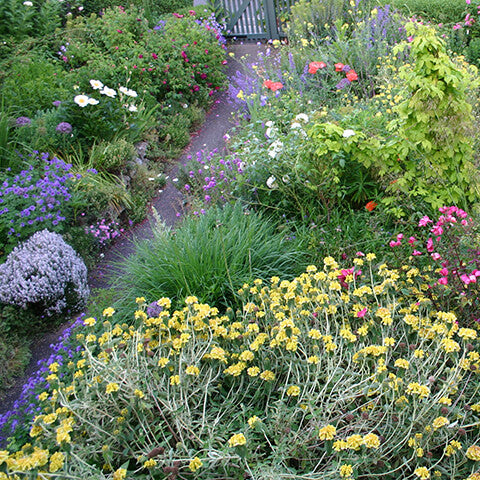 Erleben Sie den Cottage Garden der Zukunft mit Isabelle Van Groeningen's "Fr. 07.11.2025 | 09.30 - 12.30 HALBTAGESKURS - Der Cottage Garten", mit leuchtenden Blüten, verschlungenen Pfaden und üppigem Grün rund um ein charmantes Tor.