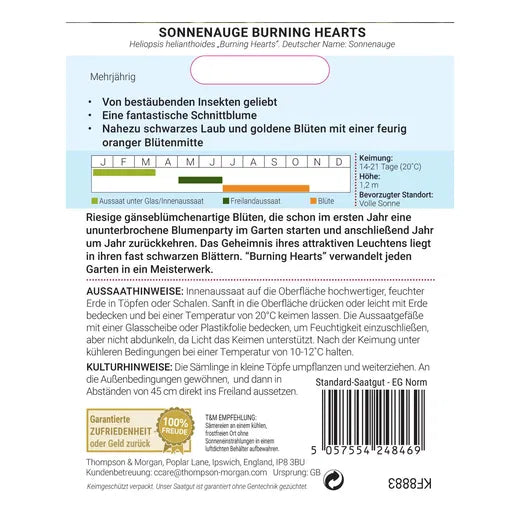 Saatgutpaket "Sonnenauge 'Burning Hearts'" von Thompson&Morgan mit deutschen Pflanzhinweisen, Aussaat-/Blütezeiten, Pflegetipps, Barcode unten rechts sowie Icons, Logos und Infos zu dürretoleranten sonnenblumenähnlichen Blüten.