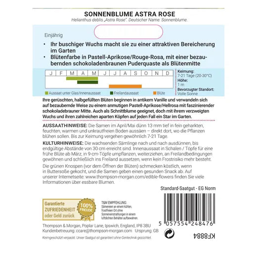 Rückseite einer Thompson&Morgan Samenpackung in Deutsch: Infos zur Sorte Sonnenblume 'Astra Rose', Pflanz- und Pflegetipps, farbcodierter Aussaat-/Blühkalender, Garantie, Unternehmensdetails und auffälligen Blütenköpfen.