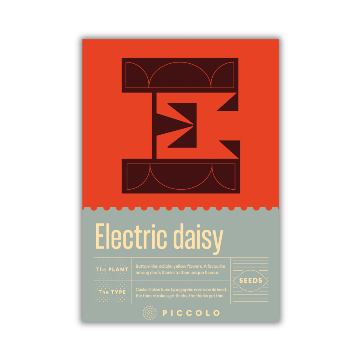 Ein Piccolo Seeds - E - Elektrisches Gänseblümchen Saatgutpaket von Piccolo Seeds, mit kühnem abstrakten Design in Rot und Orange, modernen geometrischen Formen, knopfartigen Blüten und hellgelbem Text, der essbare gelbe Blüten hervorhebt.
