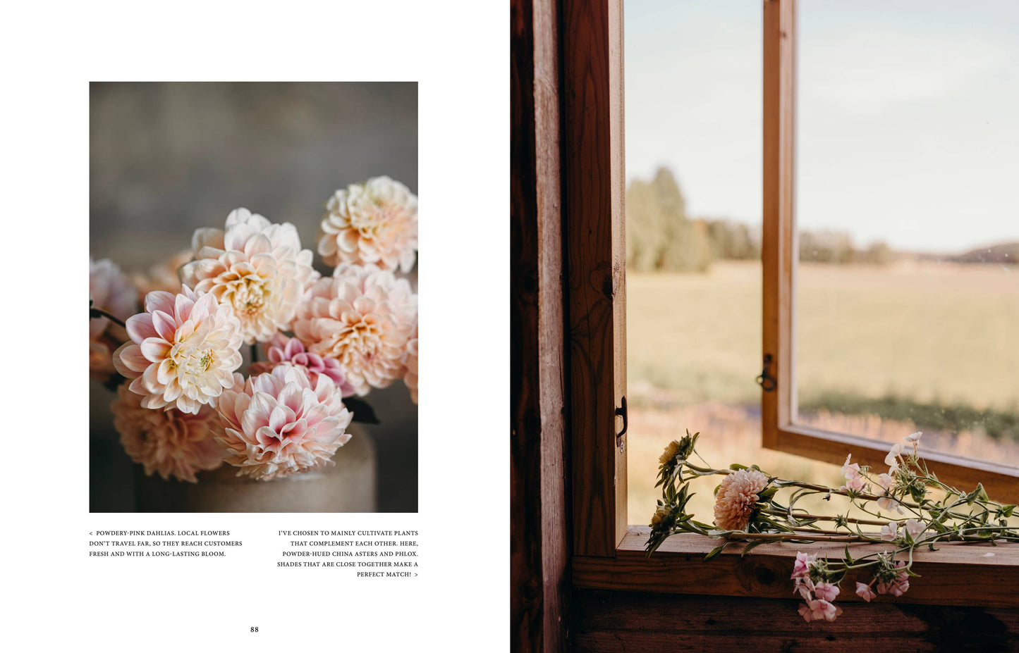 Links leuchten zartrosa und weiße Dahlien; rechts rahmt ein offenes Fenster einheimische Schnittblumen auf einem Holzbrett ein. „Where the flowers bloom“ von Cozy Publishing fängt florale Schönheit für jeden Liebhaber ein.