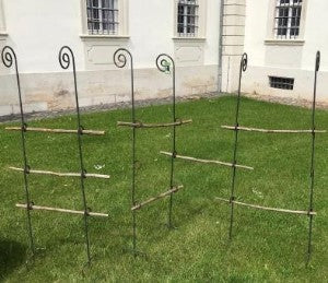 Vier Bischofstäbe mit Knoten mit Holz im SET 5-tlg. von Hase und Hirsch, bestehend aus 150 cm langen Holz- und 170 cm langen Metallknotenstangen, stehen auf einer Wiese vor einem weißen Gebäude mit Fenstern.