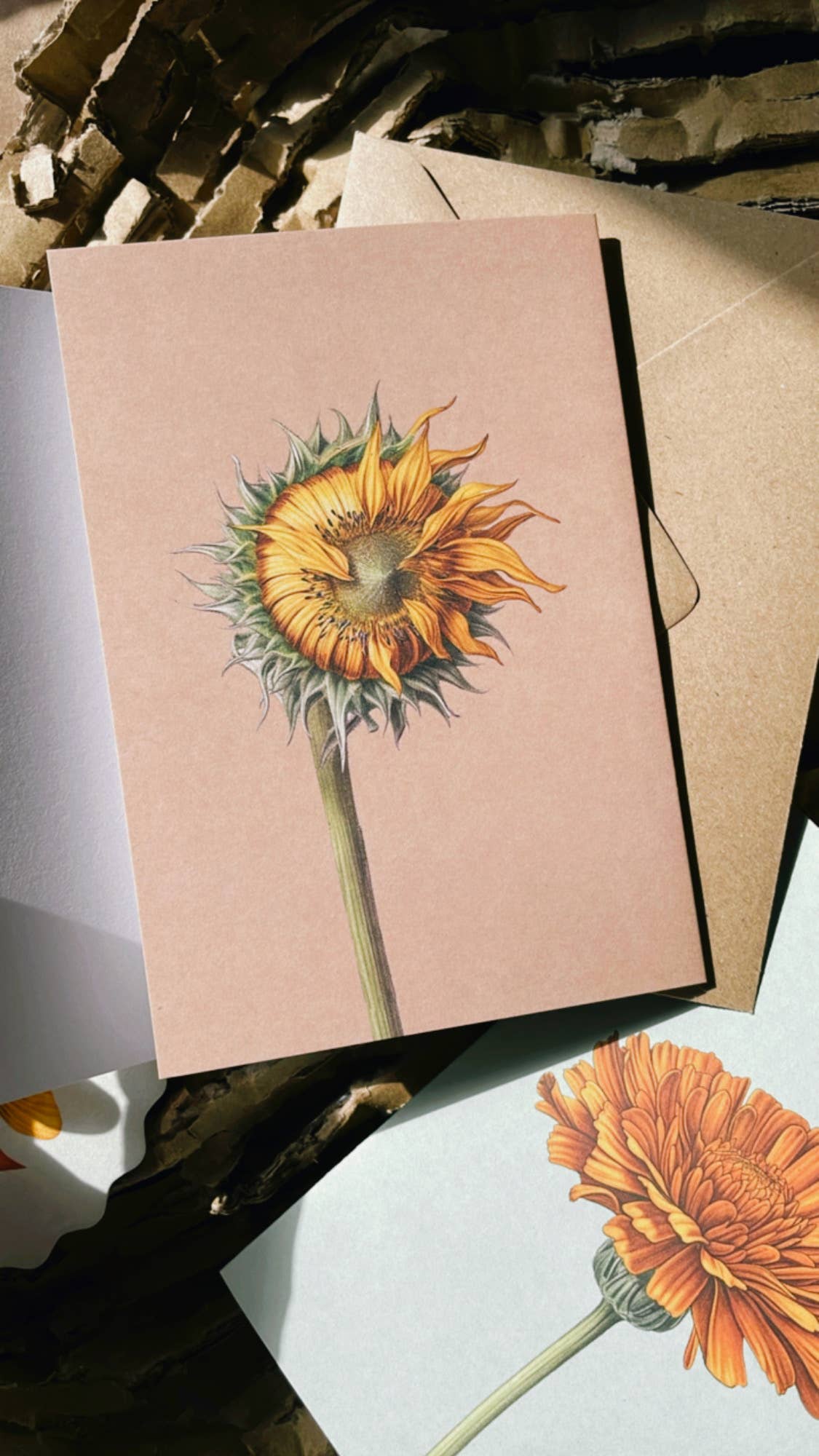 Die 30x40 - Sonnenblumen Leporello Grußkarte aus Recyclingpapier zeigt eine teils geöffnete Sonnenblume und liegt auf einem braunen Umschlag. Gedruckt in Deutschland. Marke: 30x40.