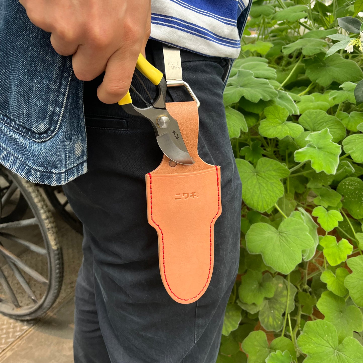 Eine Person in dunklen Hosen und einem blau gestreiften Hemd hält eine Gartenschere mit gelbem Griff über einem Niwaki-Gürtelclip von Niwaki, der an ihrem Gürtel befestigt ist, und steht neben grünen Blattpflanzen.