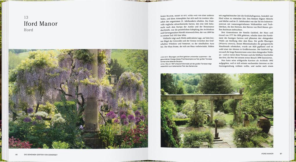 Eine Doppelseite aus "Die geheimen Gärten von Somerset" des Gerstenberg Verlags zeigt üppige Gärten: Auf der linken Seite wachsen violette Glyzinien über Gartenmauern, während auf der rechten Seite eine Pergola und gepflegte Sträucher in Somerset Gärten zu sehen sind.
