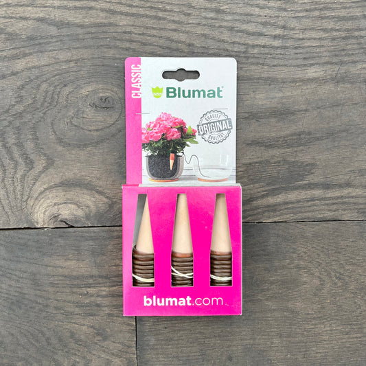 Eine Packung Blumat Classic für Zimmer- und Balkonpflanzen von Blumat, die drei Keramikkegel für eine einfache Pflanzenpflege und effiziente Bewässerung enthält, wird auf einer Holzfläche mit einer blühenden Topfpflanze und dem Blumat-Logo auf der Verpackung gezeigt.
