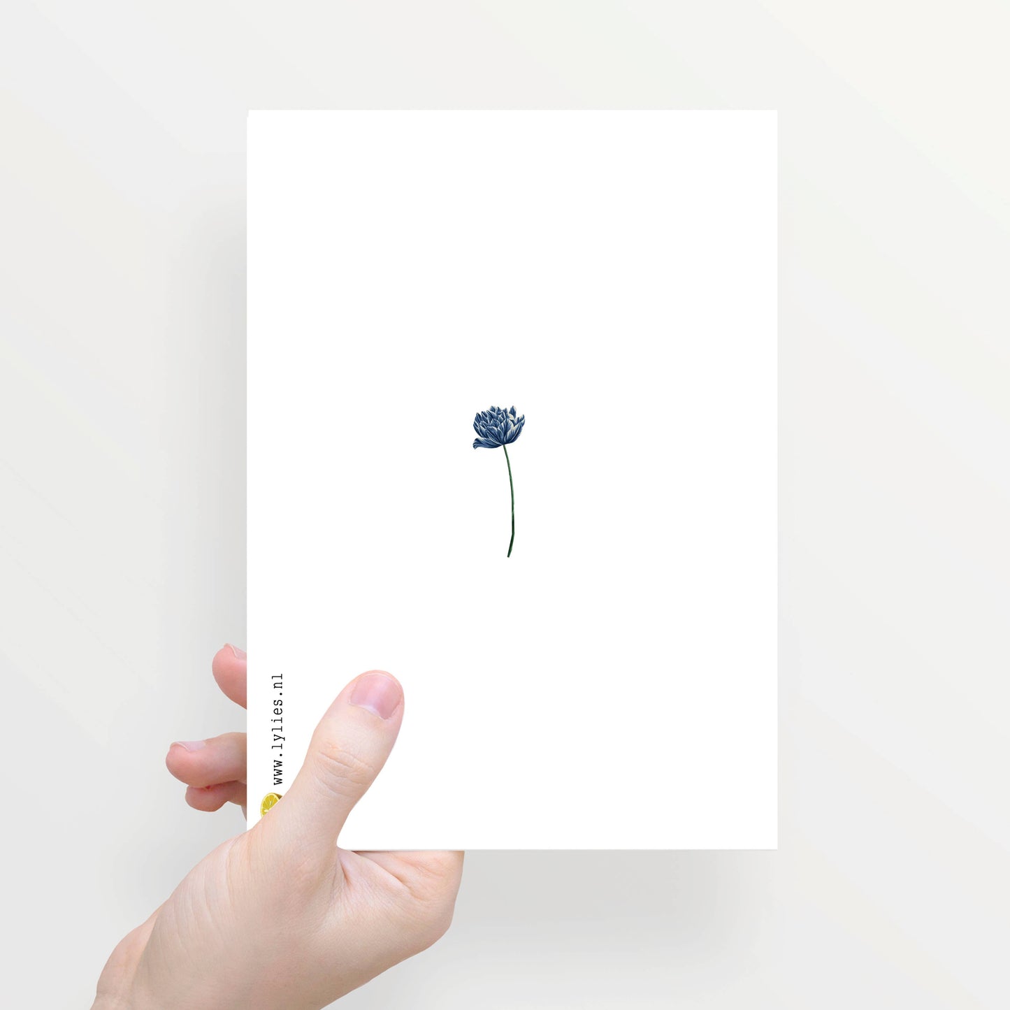 Eine Hand hält die Lylies Grußkarte aus Recyclingpapier: zur Hälfte gefaltet, mit Damenumschlag und einer blauen Vase im minimalistischen Design.