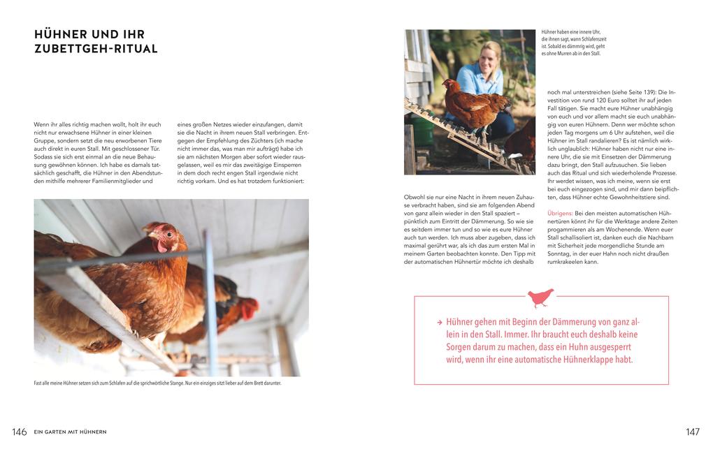 Eine doppelseitige deutsche Magazinstrecke aus der Homefarming-Reihe des Gräfe & Unzer Verlags beschreibt detailliert die Schlafenszeitrituale und die Selbstversorgung von Hühnern. Der Text umrahmt Fotos eines Huhns auf einem Balken und einer Person, die eine braune Henne hält.