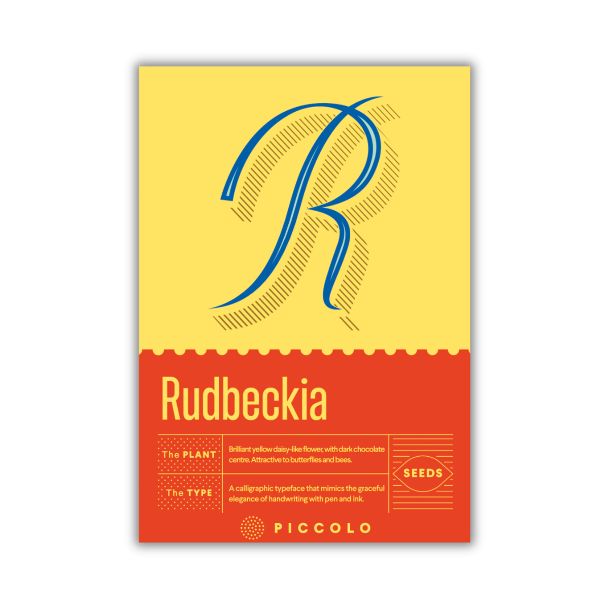 Saatgutpackungsdesign für Piccolo Seeds - R - Rudbeckia von Piccolo Seeds, mit einem großen dekorativen R auf gelbem Hintergrund mit roten Akzenten, gänseblümchenartige Blüte, kalligraphischer Text und Punkt-/Gittermuster.