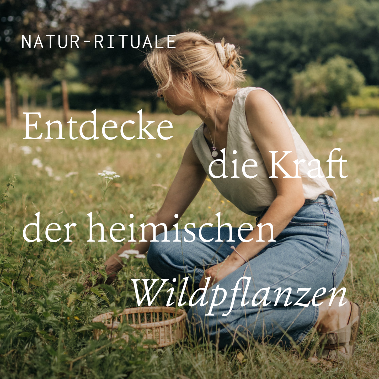 Eine Frau kniet auf einer Wiese und sammelt Wildpflanzen in einem Korb. Überlagerter deutscher Text: Natur-Rituale. Entdecke die Kraft der heimischen Wildpflanzen mit Kruut - Räucherbündel Klarer Geist von Kruut.