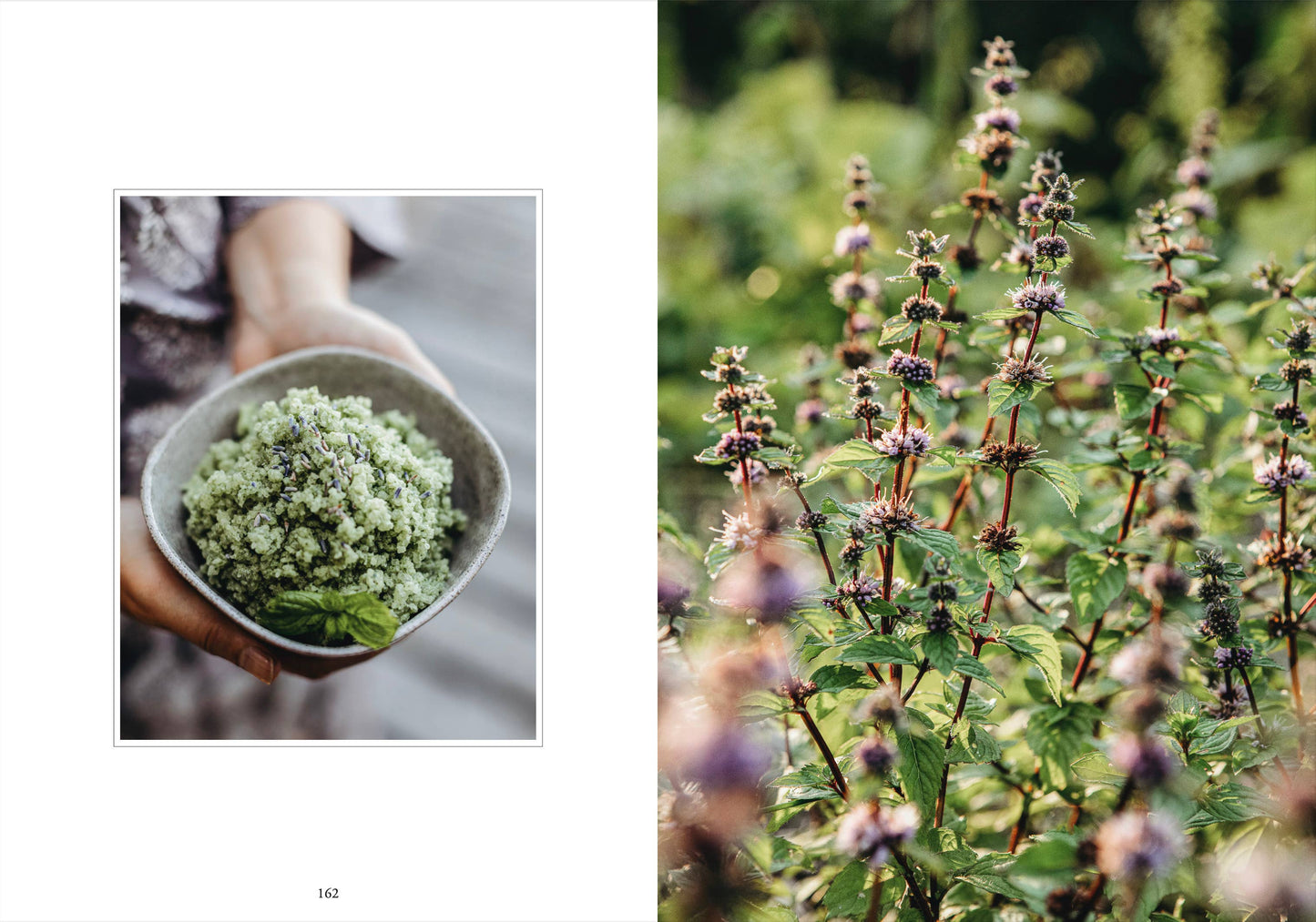 Cozy Publishing - Living with herbs
