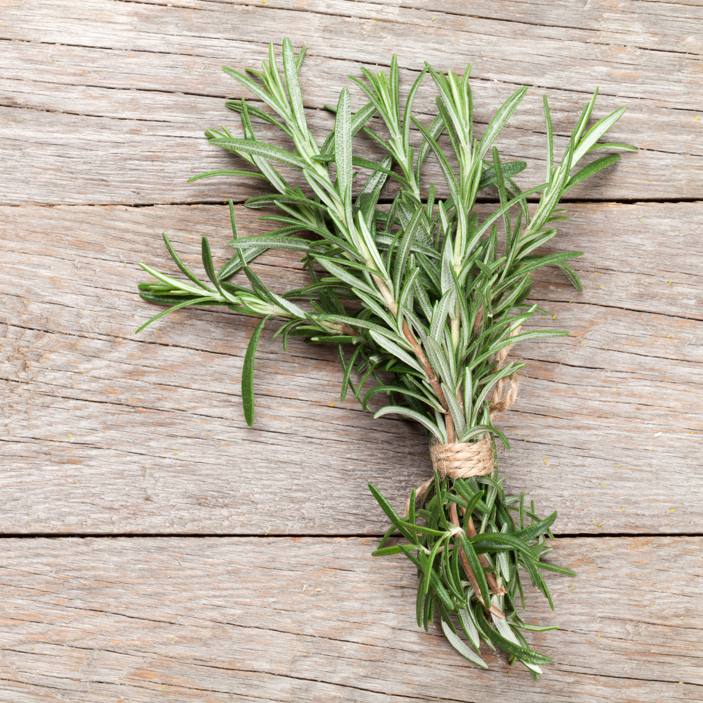Ein Päckchen Piccolo Seeds - Rosmarin Common von Piccolo Seeds sitzt auf einer rustikalen Holzfläche und bietet das klassische mediterrane Kraut der Freundschaft für Ihren Küchengarten.