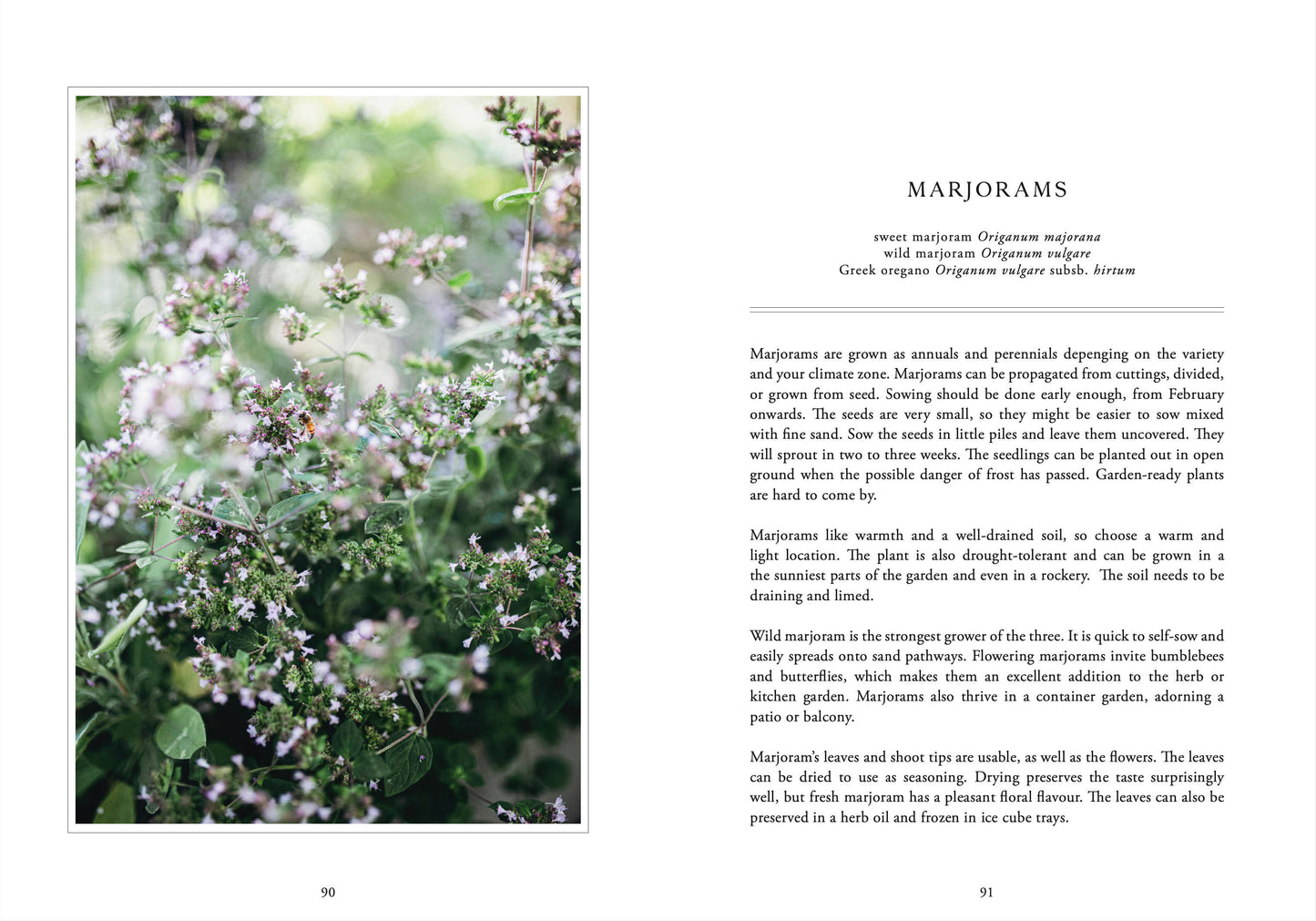 Cozy Publishing - Living with herbs
