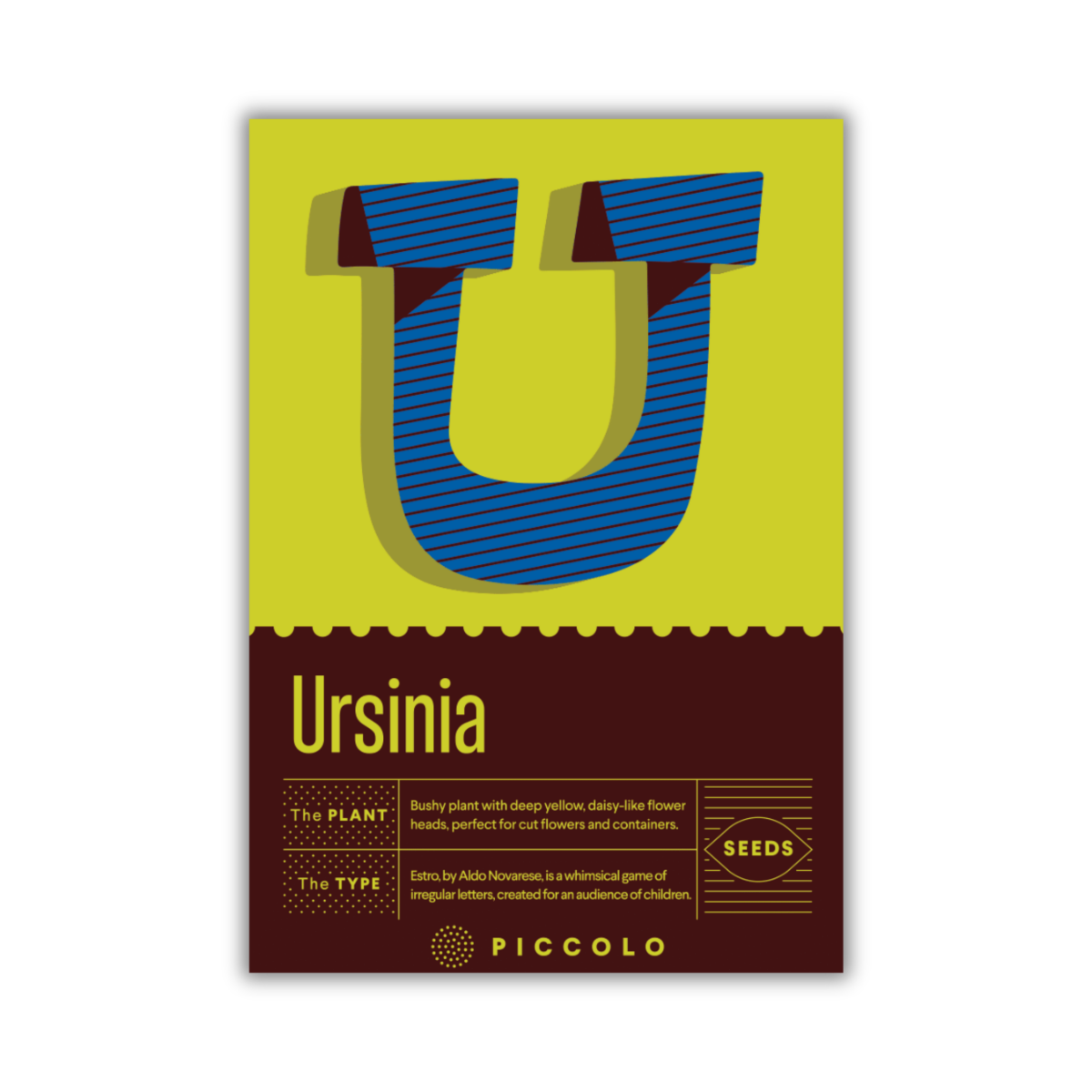Eine Samenpackung von Piccolo Seeds zeigt ein großes blau-gelbes „U“ auf grünem Grund. Auf dem Etikett steht „Piccolo Seeds – U – Ursinia“, darunter sind Angaben zur Art und in der unteren rechten Ecke ein brauner Abschnitt „SAMEN“ zu finden.