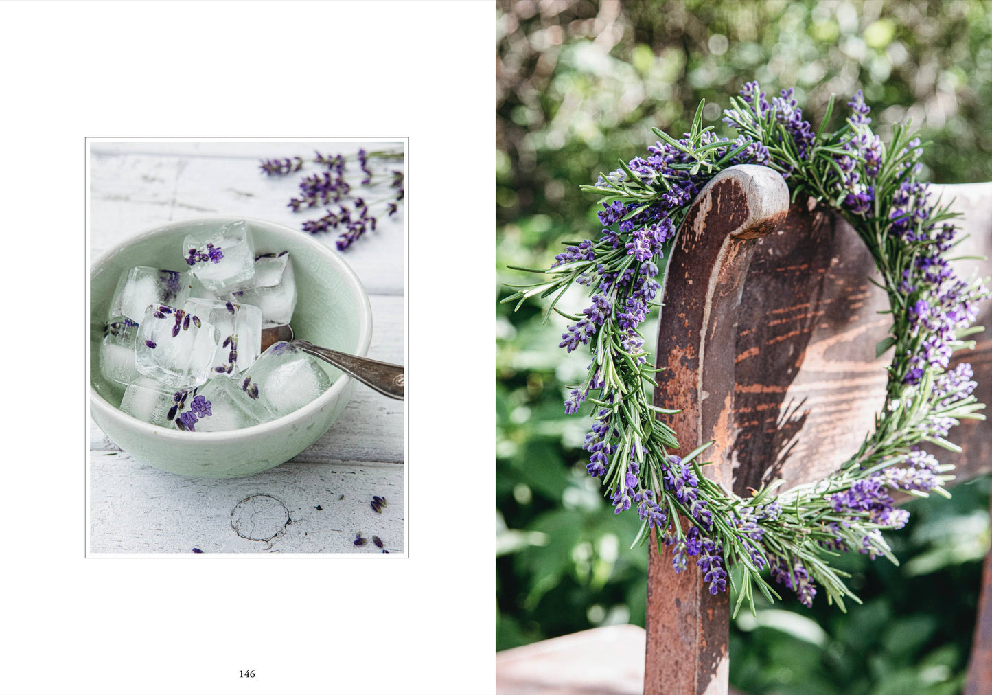 Cozy Publishing - Living with herbs
