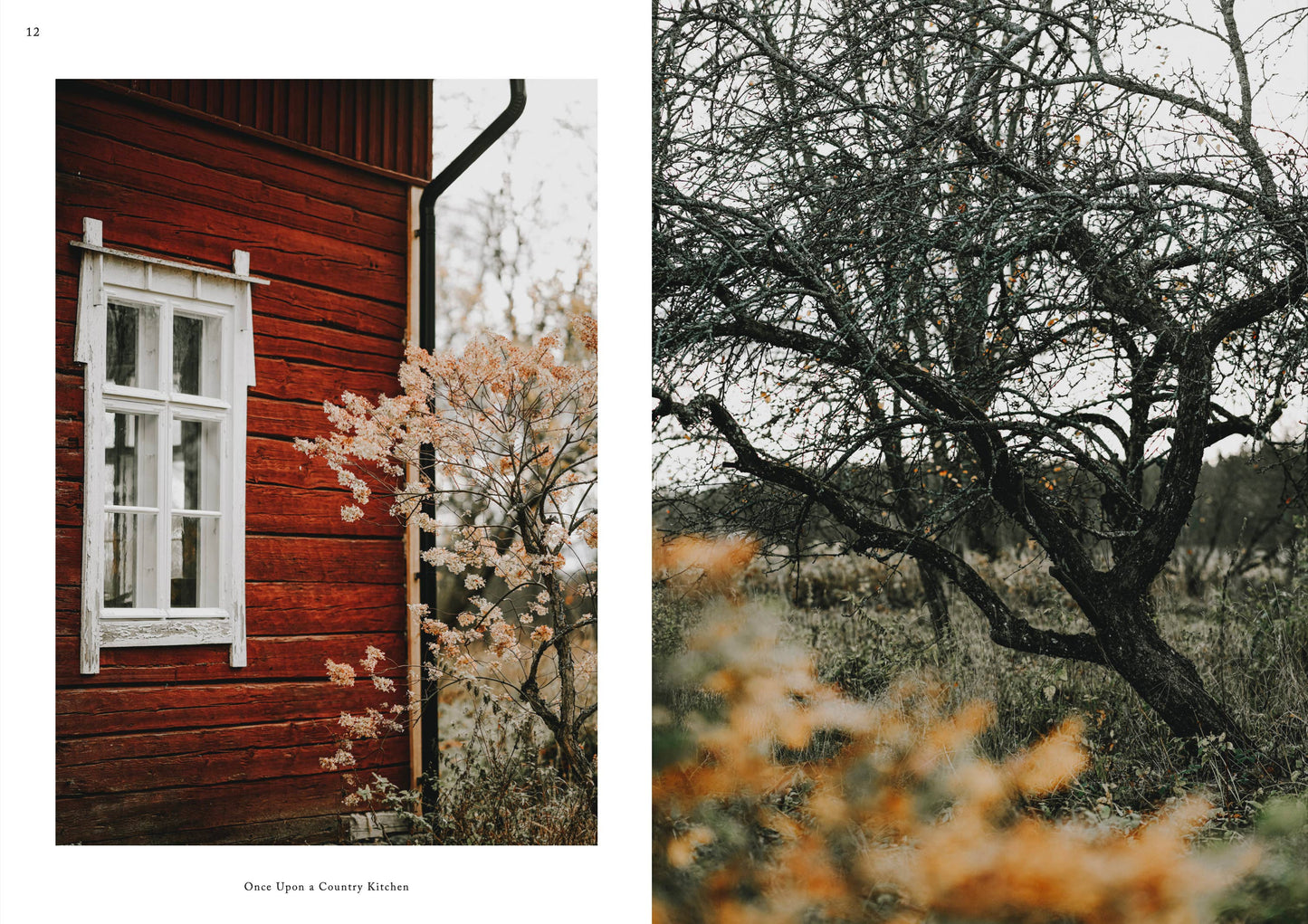Ein geteiltes Bild: Links ein rotes Holzhaus mit weiß getünchten Fenstern, das rustikalen Charme vermittelt; rechts ein knorriger Baum auf einer Wiese mit orangefarbenem Laub. Von Cozy Publishing – Es war einmal eine Landhausküche.