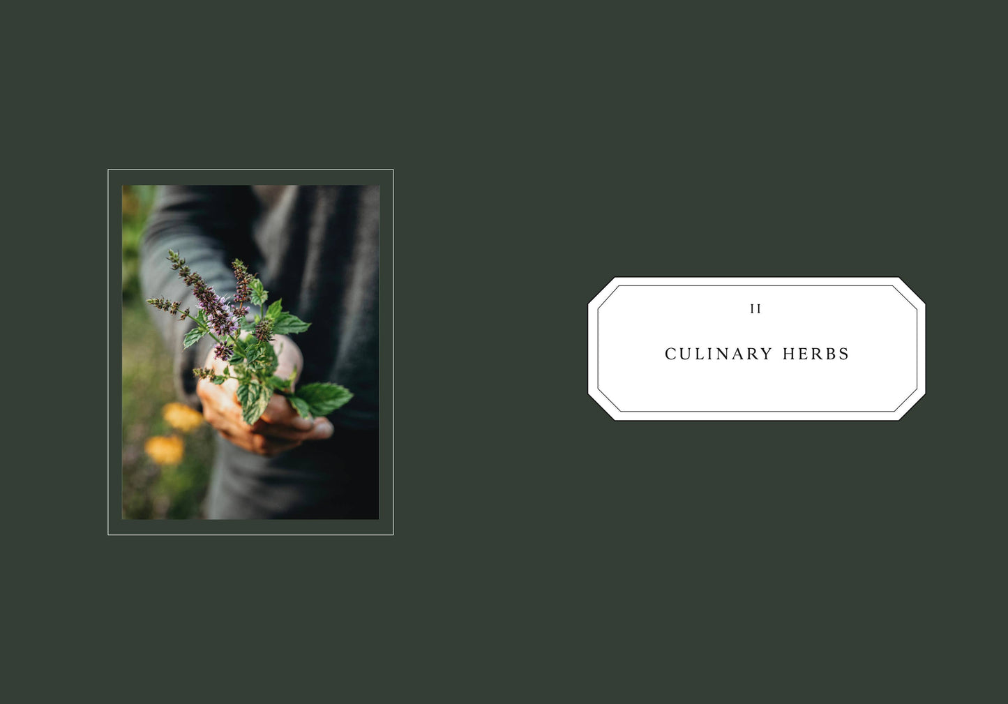 Cozy Publishing - Living with herbs