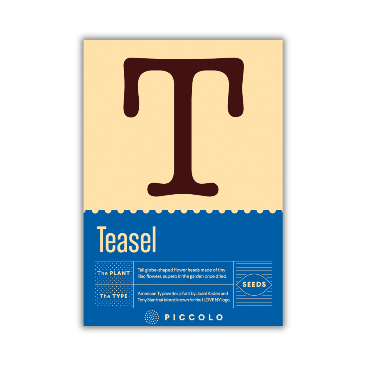 Saatgutpackung mit großem T über "Karde" und Beschreibung von Dipsacus sativus mit kugelförmigen Blütenköpfen auf blau. Inklusive Saatgut-Infos. Marke: Piccolo Seeds. Produktname: Piccolo Seeds - T - Karde.