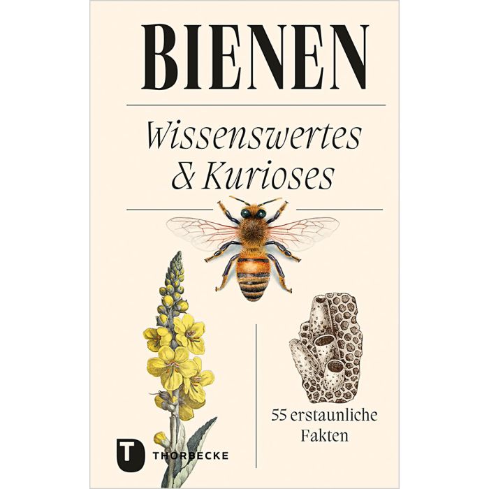 Buchumschlag mit dem Titel "Bienen" vom Thorbecke Verlag, mit Biene, gelb blühender Pflanze und Wabe - perfekt für Imkerei-Fans. Untertitel: 55 erstaunliche Fakten.