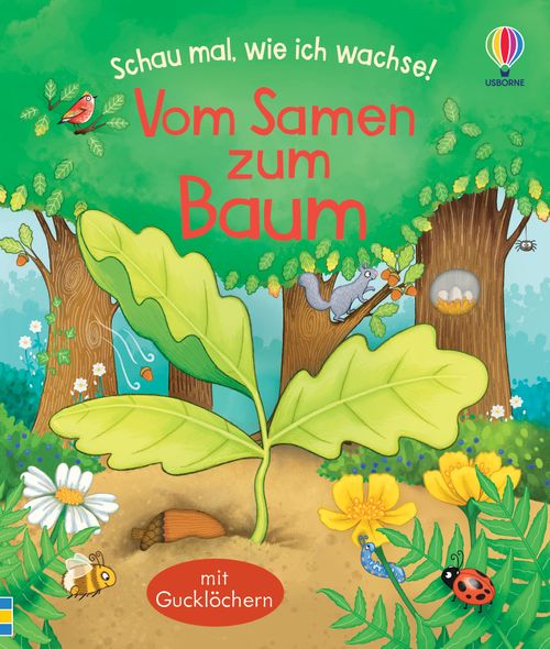 Das Buch "Schau mal wie ich wachse! Vom Samen zum Baum" aus dem dtv Verlag zeigt ein lebendiges Cover mit Eiche Keim zwischen grünen Blättern, Blumen, Insekten und Vögeln. Der verspielte deutsche Titel hebt sich in bunten Lettern vor einem hellen Waldhintergrund ab.