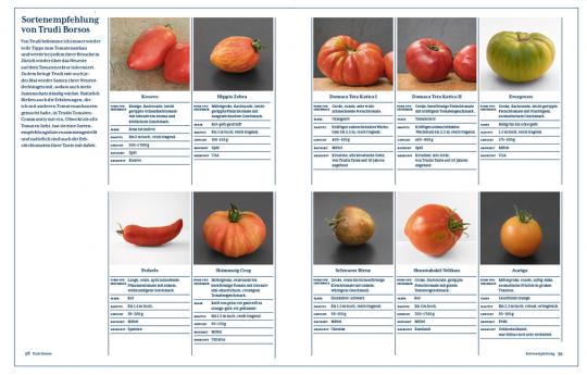 Eine Katalogseite für Tomatenlust vom Haupt Verlag zeigt ganze und geschnittene Tomatensorten mit Namen, Merkmalen, Anbau- und Pflegetipps und ausführlichen Informationen zu jeder Sorte, alles in deutscher Sprache.