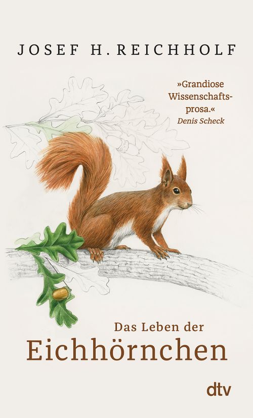 Das Cover von „Das Leben der Eichhörnchen“ aus dem dtv Verlag zeigt ein illustriertes Eichhörnchen auf einem Ast mit Eichenlaub und Eicheln. Der Titel und ein Rezensionszitat sind abgebildet und unterstreichen das Naturthema.