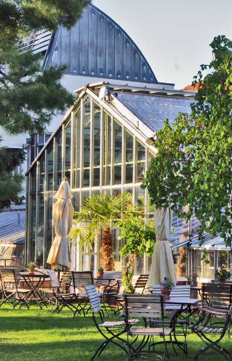 Erleben Sie Berlins Gartencafés mit "Urbane Oasen in Berlin" aus dem Bebra Verlag - entdecken Sie charmante Sitzgelegenheiten im Freien mit Holztischen, Stühlen auf Rasenflächen, Bäumen, Schirmen und gläsernen Gewächshäusern für authentische Stadterholung.