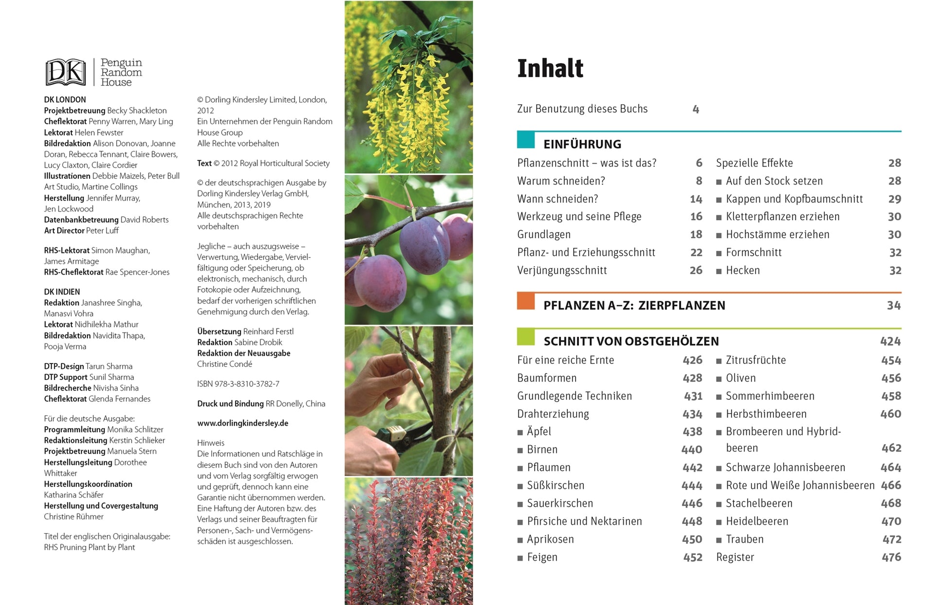 Inhaltsverzeichnisseite aus „Gartenwissen Pflanzenschnitt“ von DK mit vertikalen Streifen von Pflanzen-, Obst- und Blumenbildern. Zu den Abschnitten gehören Schnittanleitungen, Spezialeffekte, Zierpflanzen und Obstgehölze.