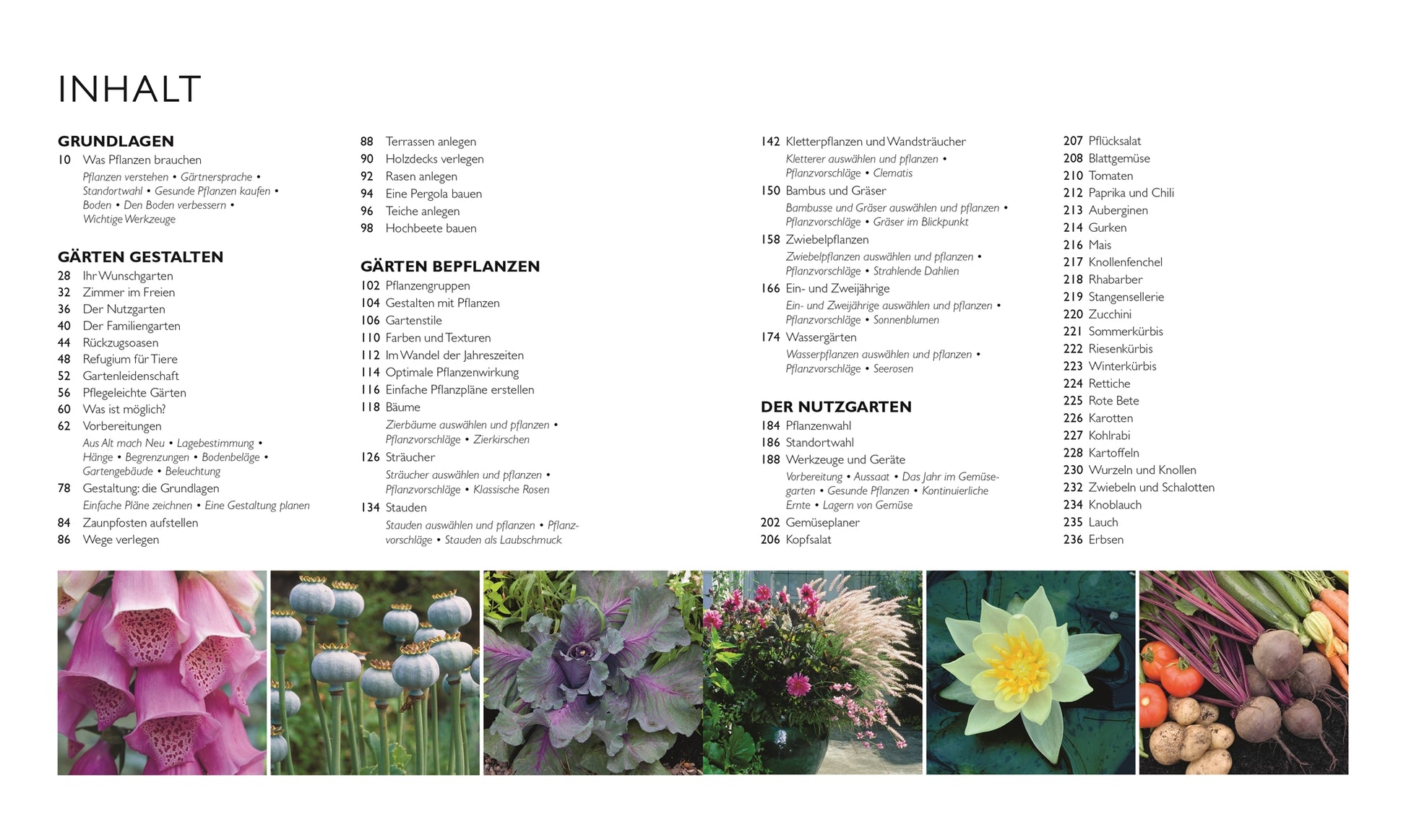 Das DK-Buch „Die neue Gartenschule“ hat ein deutsches Inhaltsverzeichnis für Hobbygärtner, ist nach Gartenthemen geordnet und mit farbenfrohen Fotos von Fingerhut, Zierkohl, Lotus und Wurzelgemüse illustriert.