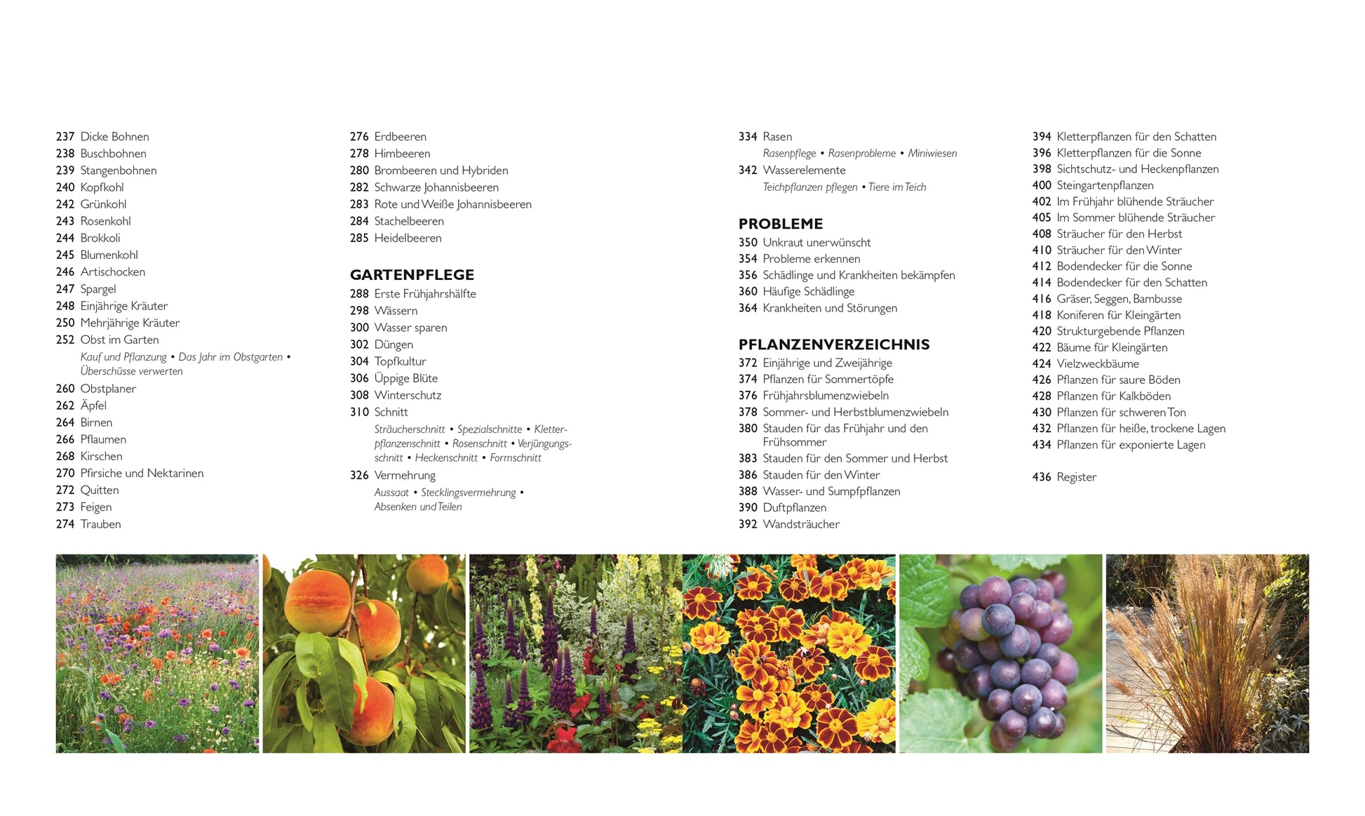 Das DK-Buch „Die neue Gartenschule“ enthält ein deutsches Inhaltsverzeichnis zu Gartenarbeit, Pflanzenpflege und ein Pflanzenregister – ideal für Hobbygärtner. Die untere Reihe zeigt Fotos von Wildblumenwiesen, Pfirsichen, Blumen, Weinreben und Ziergräsern.