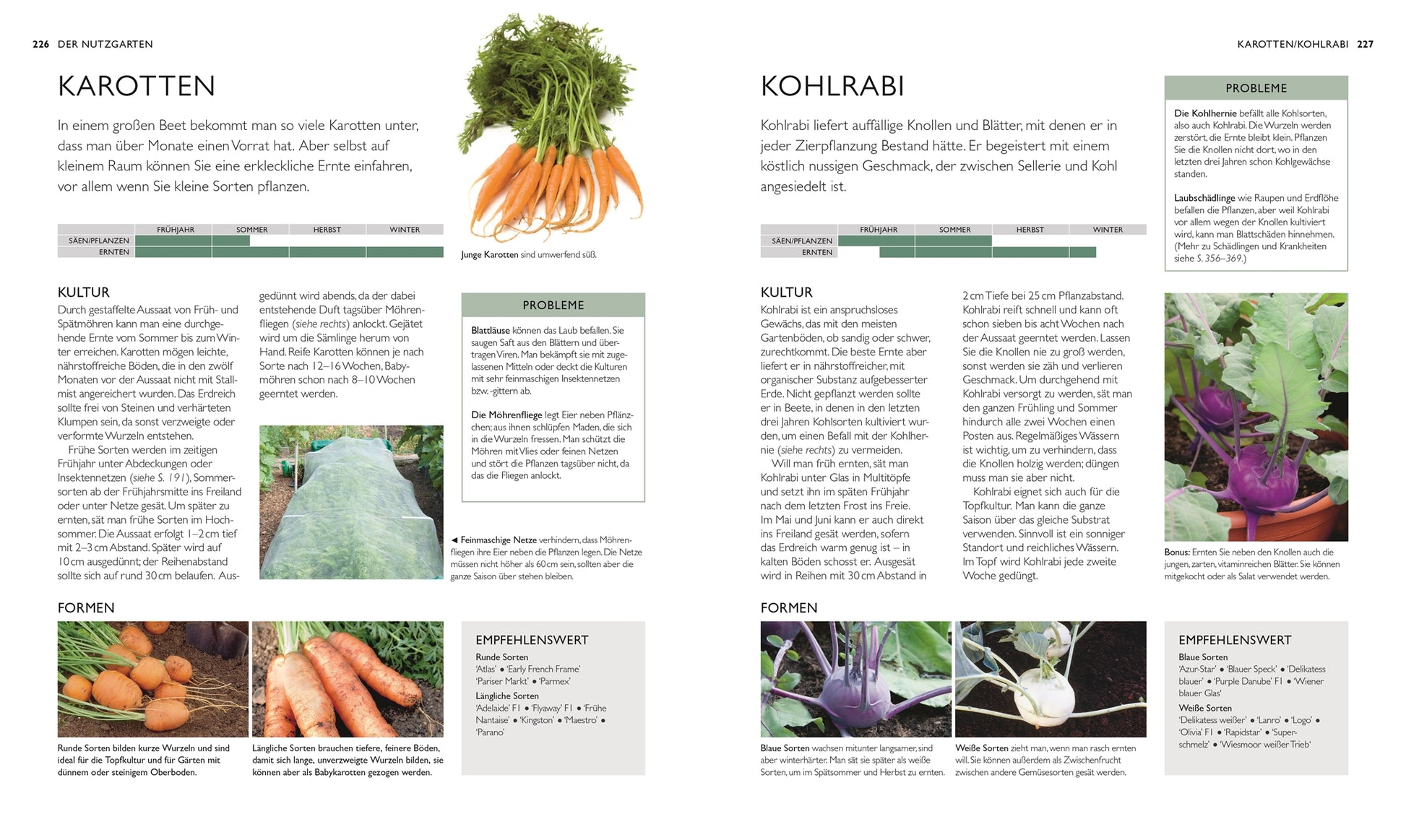 Eine Doppelseite in „Die neue Gartenschule“ von DK vergleicht Karotten und Kohlrabi mit Text, Fotos, Anbautipps, häufigen Problemen, Sorten und Pflanzempfehlungen – ideal für Hobbygärtner.