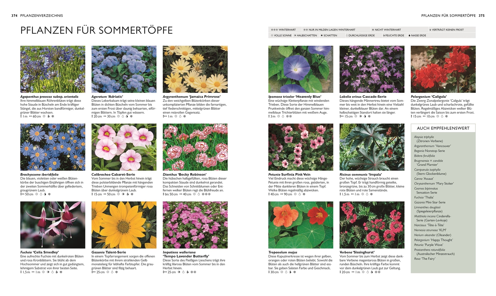 Eine deutsche Katalogseite präsentiert „Die neue Gartenschule“ von DK, mit Bildern, Namen und Details von Sommertopfpflanzen für den Ziergarten. Das Layout enthält Reihen von Blumenfotos und eine AUCH EMPFEHLENSWERT-Liste für Hobbygärtnern-Tipps.