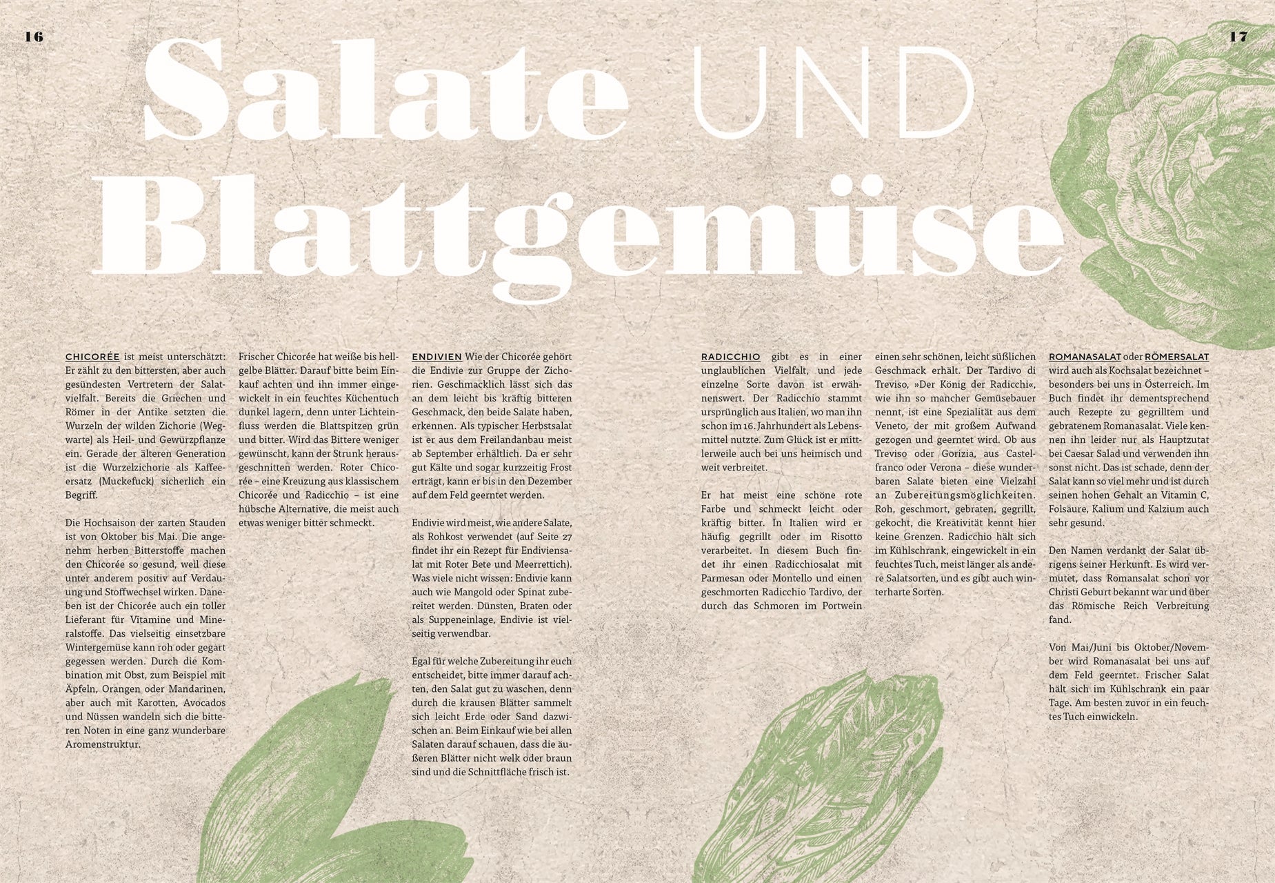 Eine beigefarbene, strukturierte Magazinseite aus der Zeitschrift "Vegetarisch" des DK Verlags zeigt den Titel "Salate und Blattgemüse" in fetten weißen Buchstaben, deutsche Textspalten im Stil eines Kochbuchs und Illustrationen mit grünem Blattgemüse im Hintergrund.