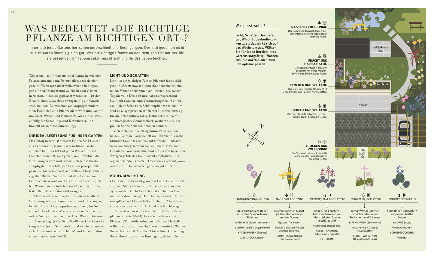 100 Fragen und Antworten zum Gärtnern" von DK Verlag ist ein Gartenbuch auf Deutsch mit Tipps zur Pflanzenwahl für Licht- und Bodenverhältnisse, Gartenplänen, Pflanzensymbolen und einem Schlüssel für Sonne, Schatten und Bodentypen.