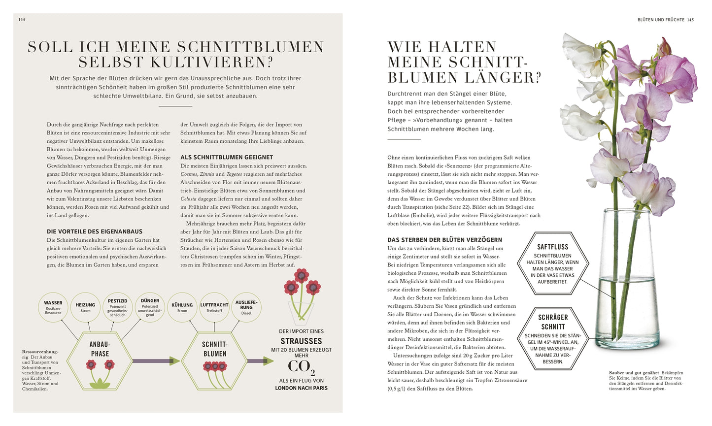 Eine von den "100 Fragen und Antworten zum Gärtnern" des DK Verlags inspirierte Doppelseite zeigt auf der linken Seite einen deutschen Text über Gartenarbeit, Tipps für Schnittblumen, Illustrationen und ein Diagramm, auf der rechten Seite eine Glasvase mit rosa und weißen Blüten.
