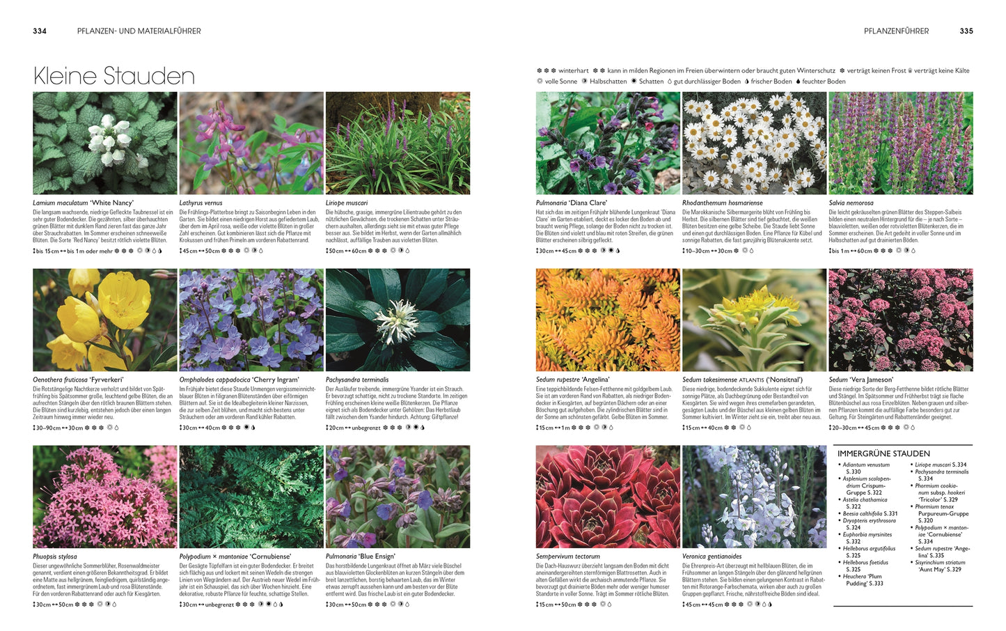 Eine Katalogseite zeigt "Gartendesign - Die große Enzyklopädie" aus dem DK Verlag mit Bildern und Beschreibungen von mehrjährigen Pflanzen mit Pflegetipps, Blütezeit und Gestaltungsmöglichkeiten, die in einem Raster mit Fotos über dem Text angeordnet sind.