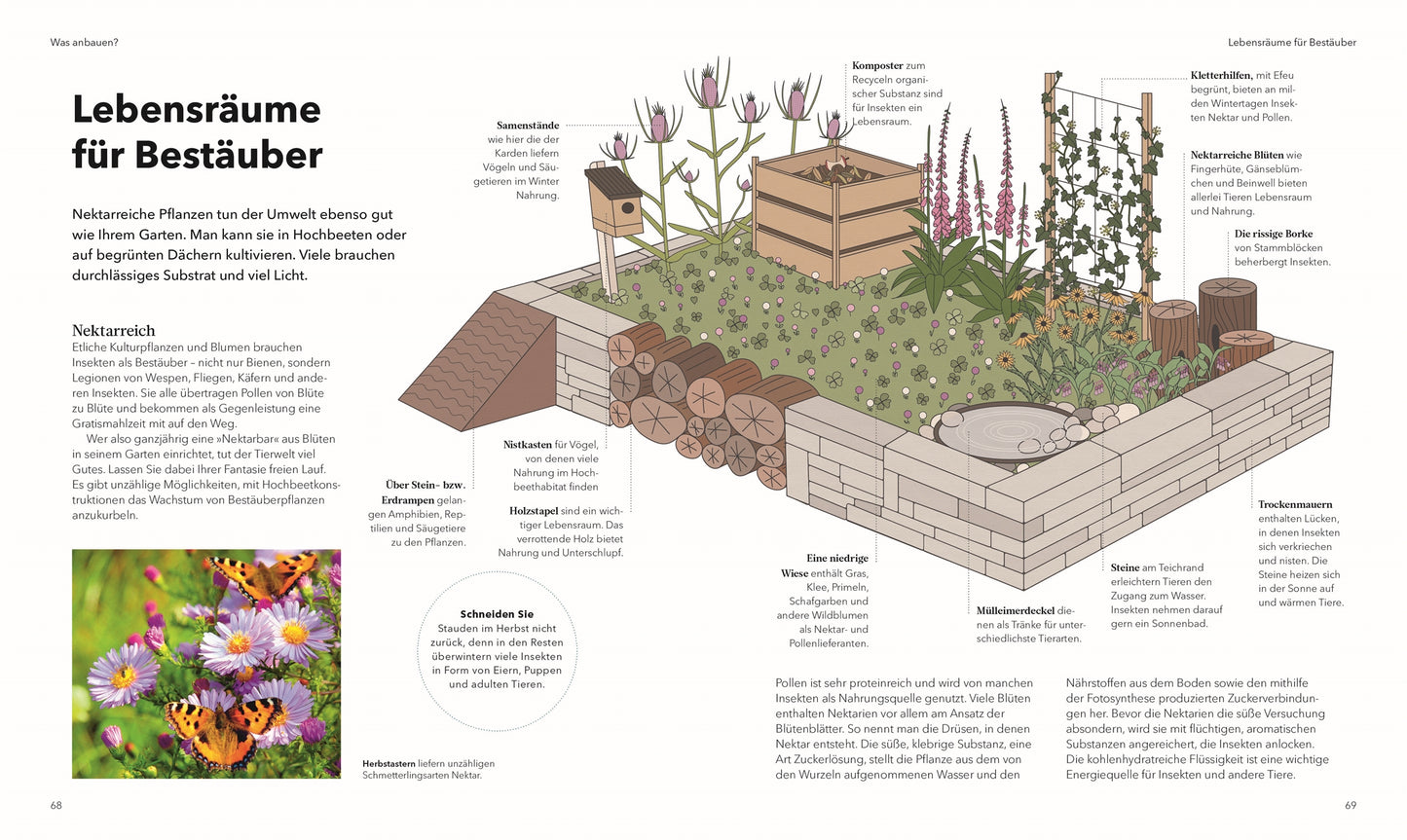 Die Illustration aus "Alles im Hochbeet" vom DK Verlag zeigt einen bestäuberfreundlichen Garten mit Hochbeeten, Blumen, einem Bienenhotel, Holzhaufen und Wasserquellen. Etiketten weisen auf Lebensräume für Bienen und Schmetterlinge hin; Tipps und Anleitungen in deutscher Sprache inklusive.