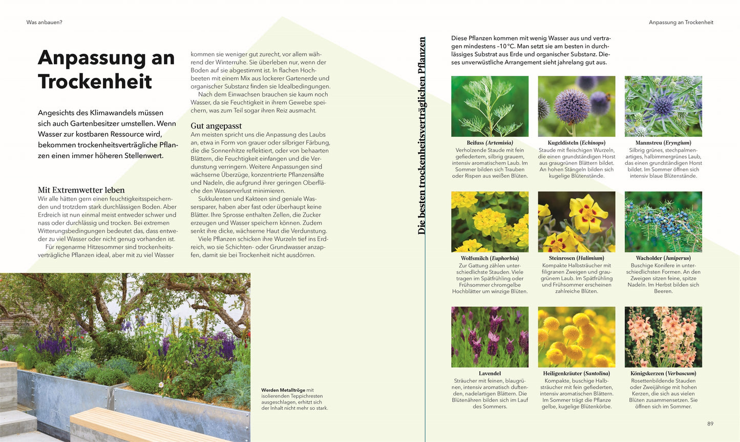 Eine deutsche Ausgabe des Magazins "Alles im Hochbeet" aus dem DK Verlag beschäftigt sich mit trockenheitsresistentem Gärtnern, mit Text auf der linken Seite und Bildern von neun Gartenpflanzen auf der rechten Seite. Unten links ist eine Terrassenecke mit einer Holzbank, Hochbeeten und Pflanzgefäßen abgebildet.