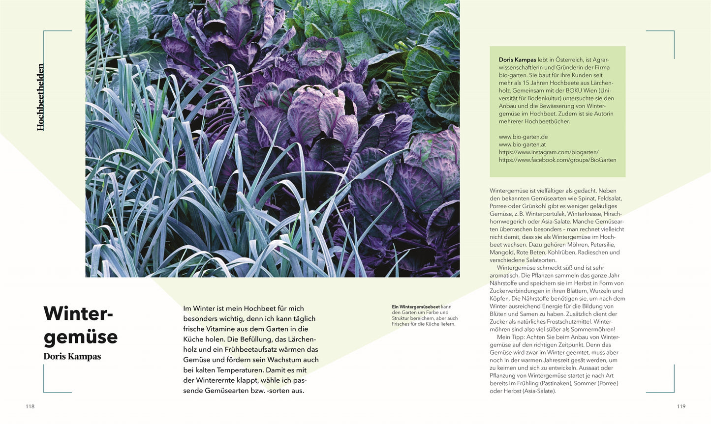 Ein Hochbeet voller lila Kohlköpfe und frostgrünem Lauch gedeiht im Freien. Neben dem Bild gibt das Buch "Alles im Hochbeet" des DK Verlags Tipps für den Wintergarten und den Anbau im Hochbeet.