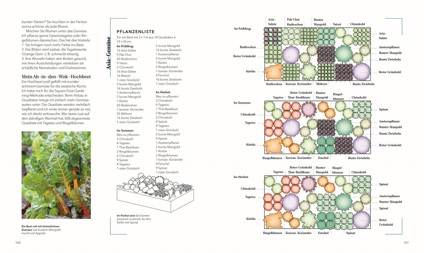Alles im Hochbeet aus dem DK Verlag ist ein Gartenplanungsratgeber mit Bauanleitungen, Pflanzenlisten und Hochbeet-Diagrammen sowie saisonalen Plänen mit Gemüsesorten wie Tomaten, Salat und Möhren, die in Kreisen angeordnet sind und ganzjährig bepflanzt werden können.