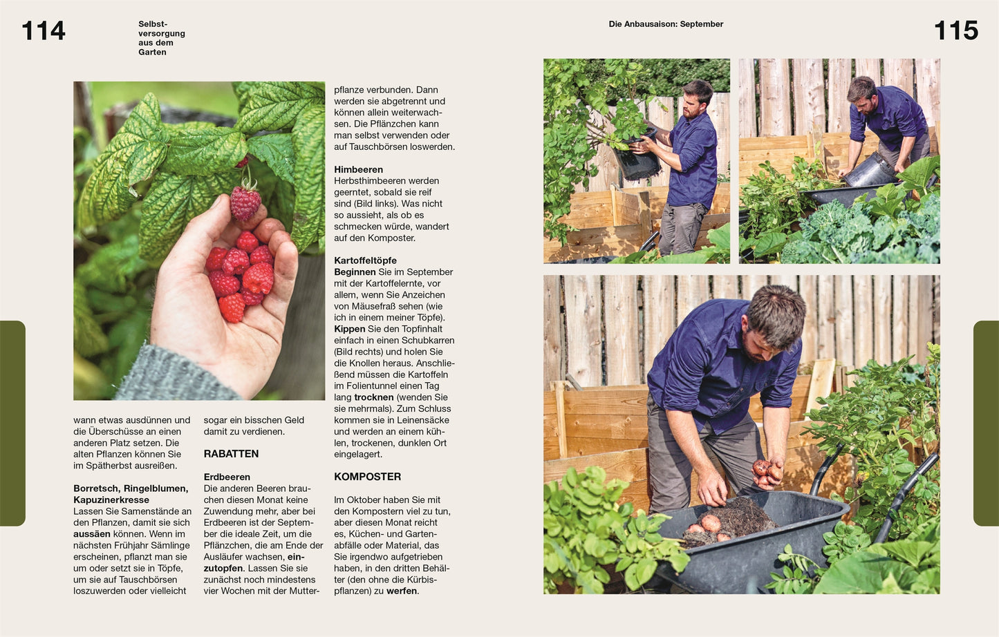 Eine Hand hält frische Himbeeren durch grüne Blätter. In einer Selbstversorgung aus dem Garten des DK Verlags pflegt ein Mann die Pflanzen, erntet Gemüse und sammelt Kartoffeln an Hochbeeten und Holzzäunen. Auf der Seite erscheint ein deutscher Text.