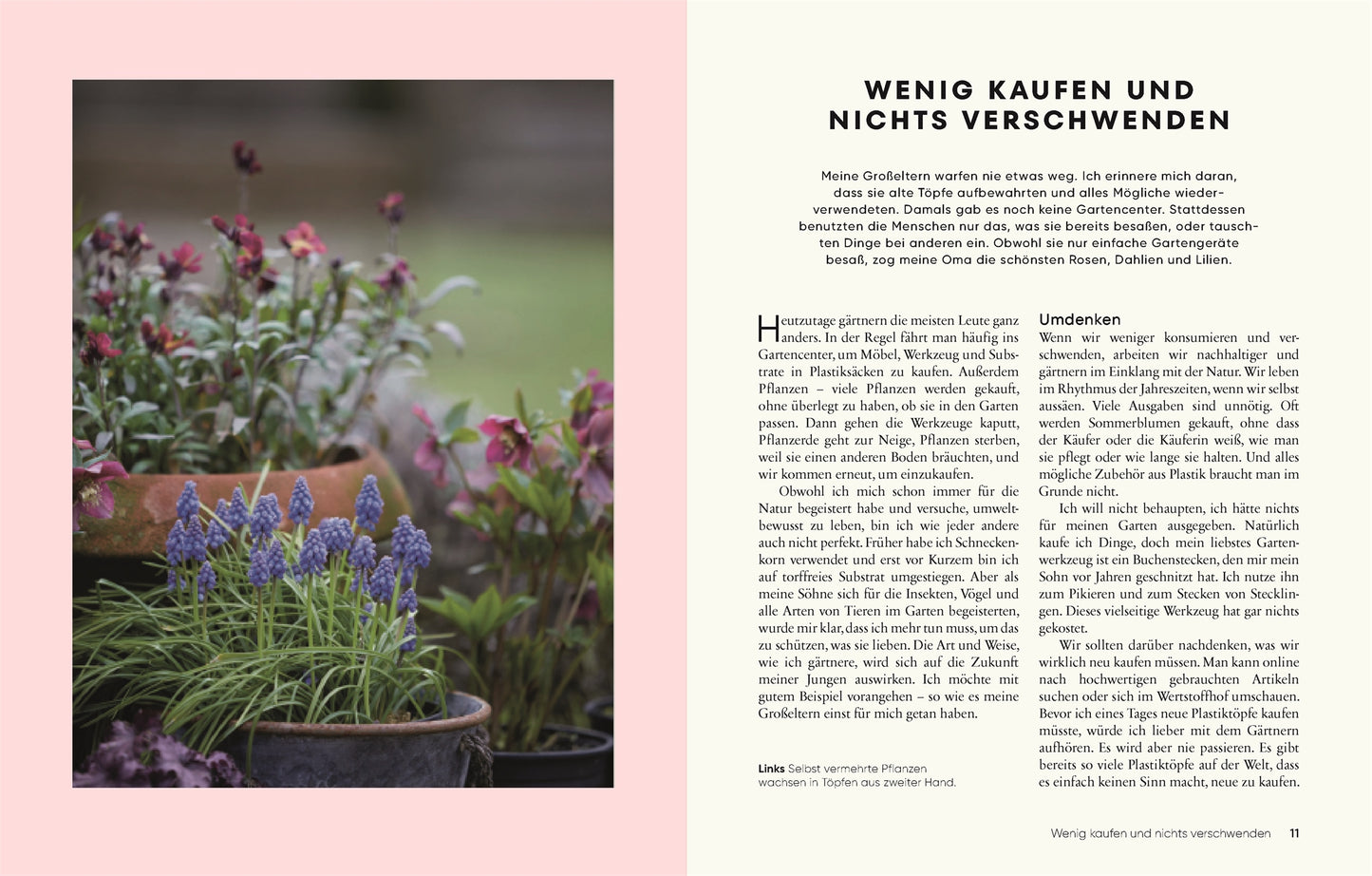 Auf der linken Seite steht ein deutscher Text auf hellrosa Hintergrund neben einem Bild mit getopften Traubenhyazinthen und rosa Blumen im Freien - eine inspirierende Szene aus "Gärtnern für wenig Geld" des DK Verlags. Grüne Pflanzen füllen den Hintergrund.