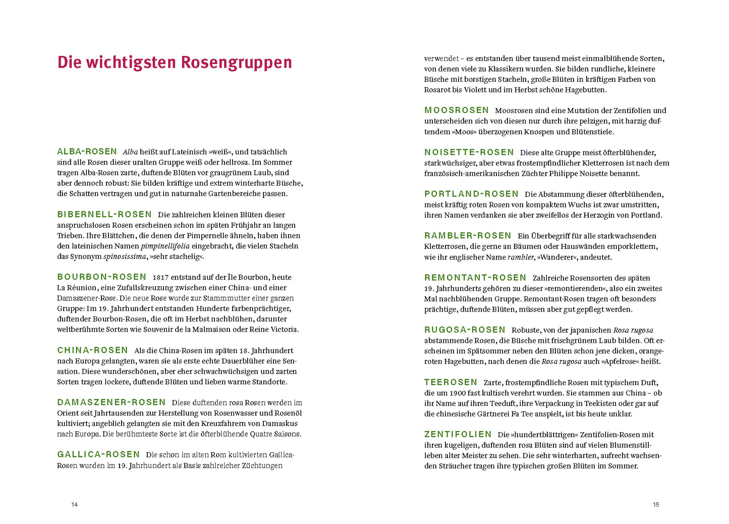Der zweiseitige deutsche Text „Historische Rosen“ vom Dumont Verlag listet und beschreibt verschiedene Rosensorten in kurzen Spalten, mit farbigen Gruppennamen zur Hervorhebung und einem klaren Layout, das an ein Gartenbuch erinnert.