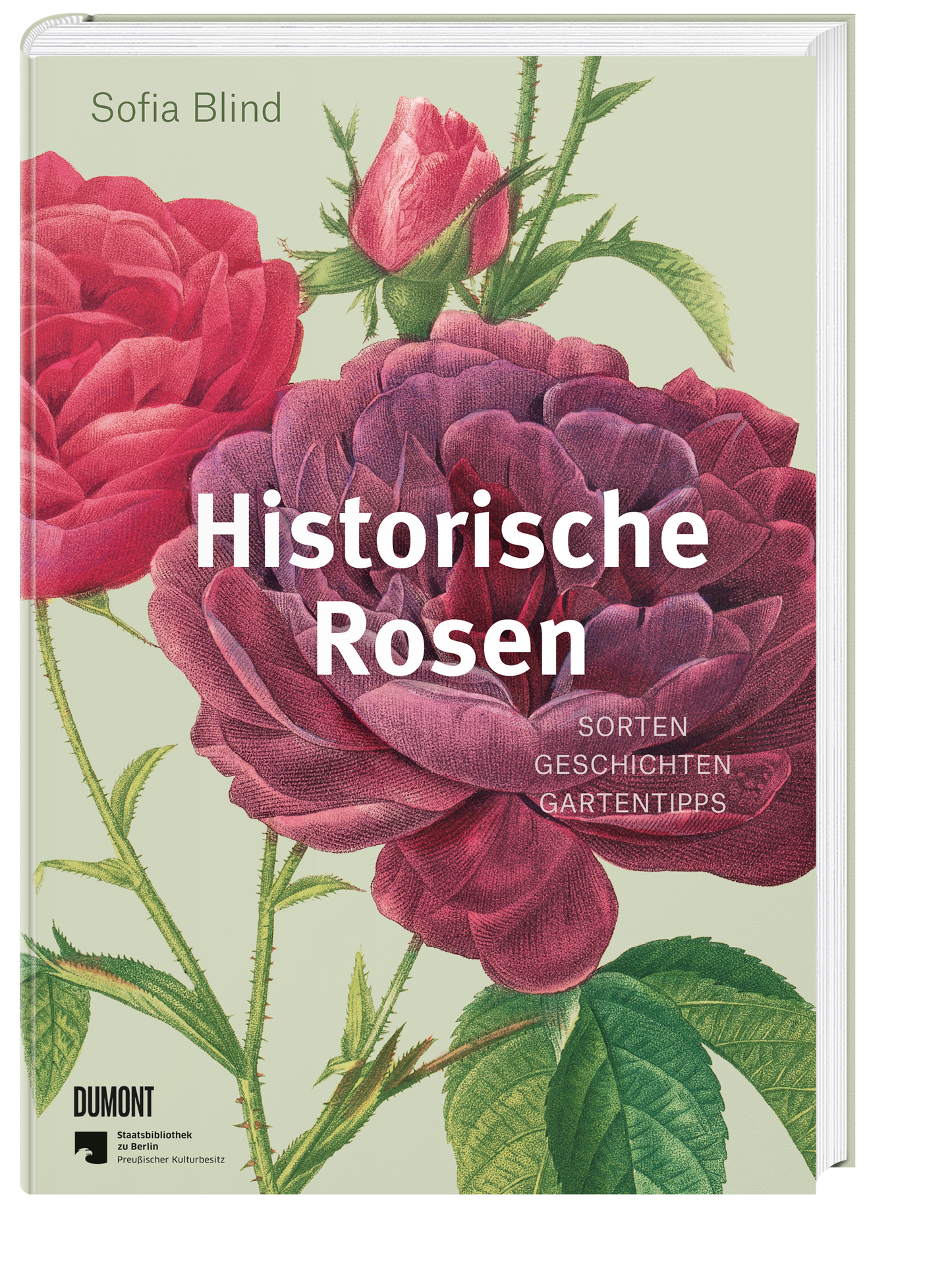 Buchcover von "Historische Rosen" vom Dumont Verlag, einem Gartenbuch mit detaillierten Abbildungen rosa und roter historischer Rosen und grünen Blättern auf hellgrünem Hintergrund. Untertitel: Sorten, Geschichten, Gartentipps.