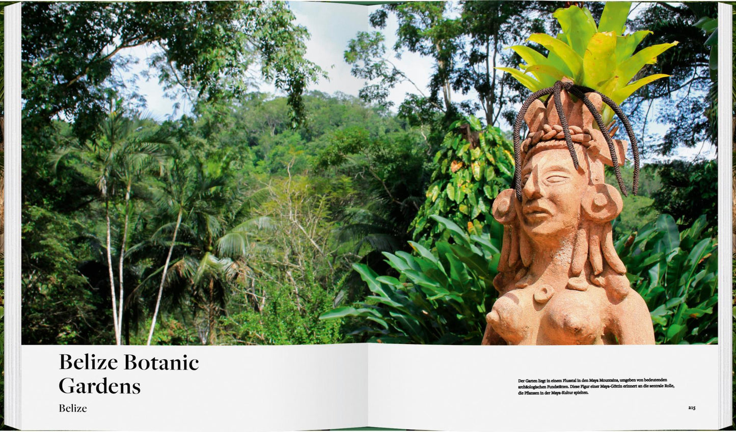 Eine steinerne Statue mit Kopfschmuck steht inmitten tropischer Pflanzen in den Botanischen Gärten von Belize, die in "Botanische Gärten | Die schönsten Pflanzenparadiese der Welt" des Gerstenberg Verlags unter einem teilweise bewölkten Himmel vorgestellt werden.