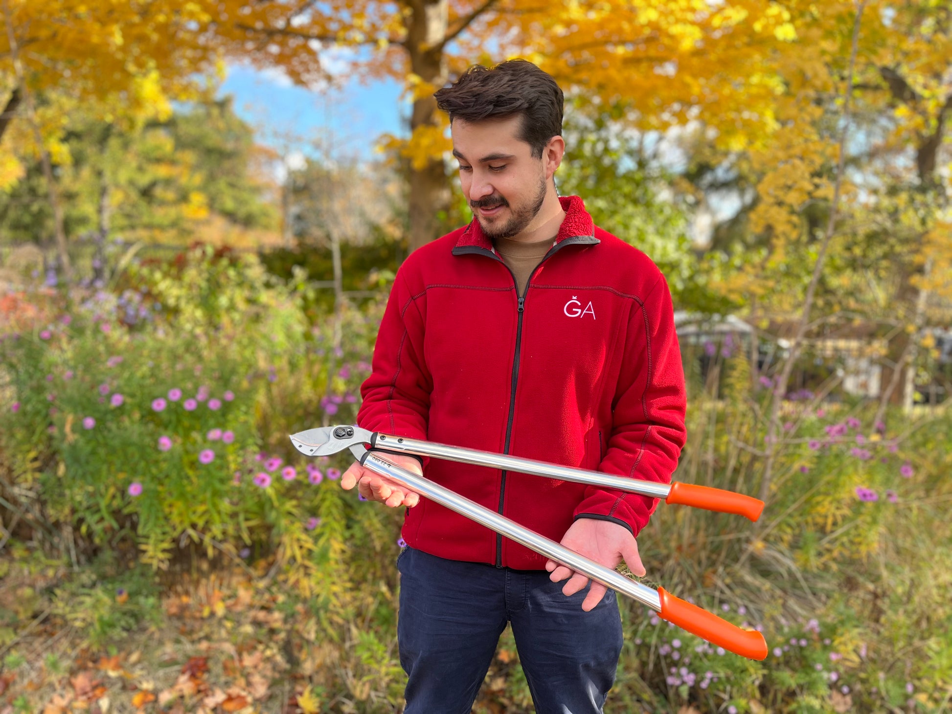 Ein Mann in roter Jacke steht in einem Garten mit Herbstlaub, hält die Löwe Astschere 22 (80 cm) in der Hand und schaut auf sie herab. Lila Blumen und bunte Bäume unterstreichen diese Szene sorgfältiger Gartenpflege.