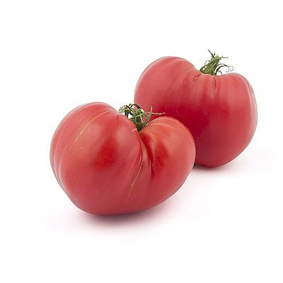 Zwei große, rosarote Arche Noah - Fleischtomate 'Rotes Herz' mit grünem Stiel liegen auf weißem Untergrund. Ihre unregelmäßige Form und die glatte Schale spiegeln die Bio-Saatgut-Qualität der Marke Arche Noah wider.
